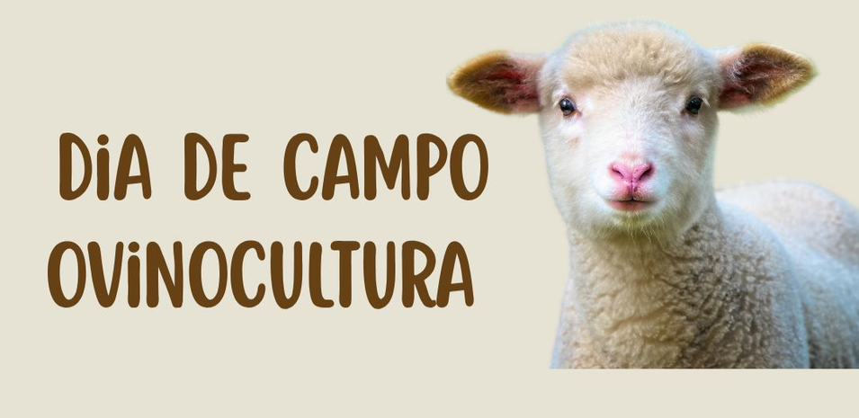 Banner Dia de Campo - Ovinocultura