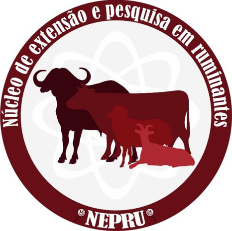 Banner NEPRU (Núcleo de Extensão e Pesquisa em Ruminantes) - Recria intensiva de bovinos de corte a pasto