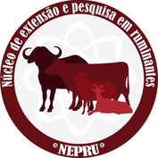 NEPRU (Núcleo de Extensão e Pesquisa em Ruminantes) - Recria intensiva de bovinos de corte a pasto