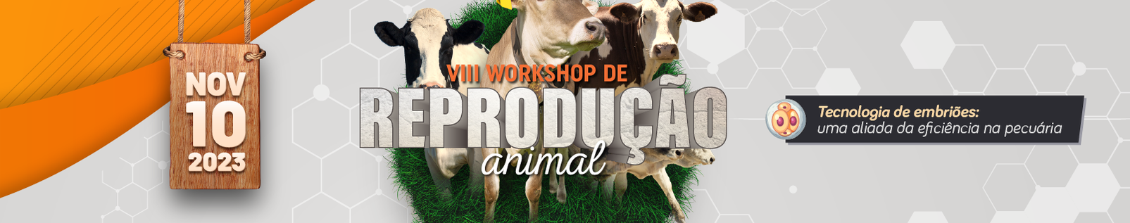 Banner VIII Workshop de Reprodução Animal