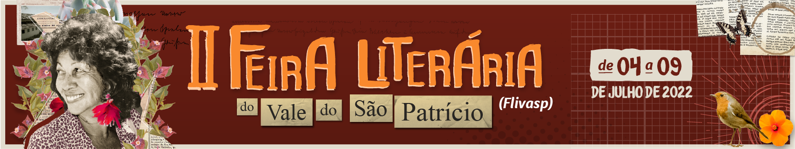 Banner II Feira Literária do Vale de São Patrício (Flivasp)