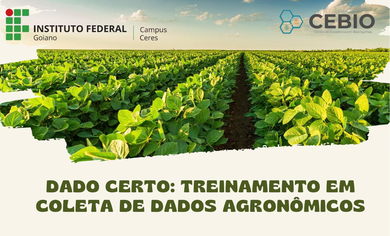 Banner Dado certo: treinamento em coleta de dados agronômicos