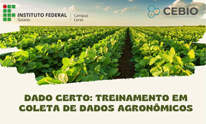 Dado certo: treinamento em coleta de dados agronômicos