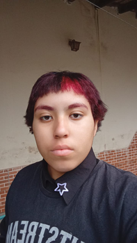 Palestrante